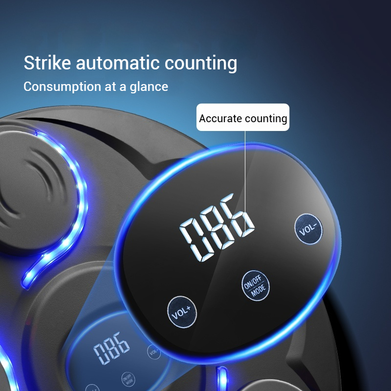 Smart Music LED Wall-Mounted B - Led Gloves Music 评论和价格